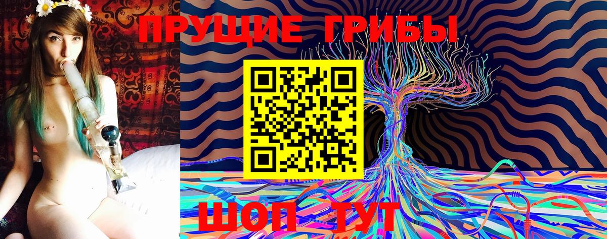 Жуковский  Псилоцибиновые грибы Psilocybine cubensis  Вход с VPN  Псилоцибиновые грибы прущие грибы 