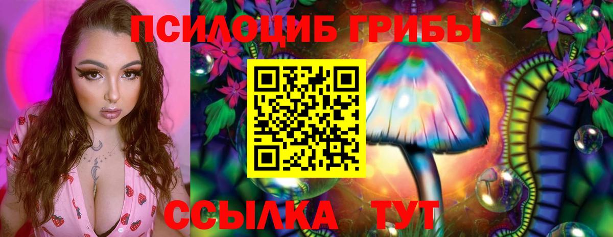 Галлюциногенные грибы GOLDEN TEACHER Жуковский